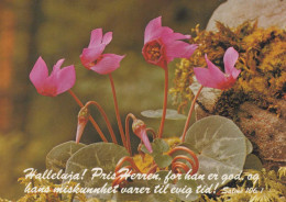 FLOWERS Vintage Ansichtskarte Postkarte CPSM #PBZ018.A - Blumen