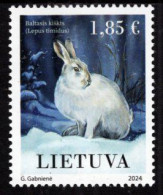 Lithuania - 2024 - Red Book Of Lithuanian - Mountain Hare - Mint Stamp - Lituanie