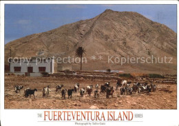 72506421 Fuerteventura  Fuerteventura - Other & Unclassified