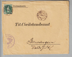 CH Heimat ZH Oberwetzikon 1886-08-28 Brief Nach Berwangen Mit 25Rp. Stehende H. SBK#67A - Brieven En Documenten