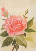 FLOWERS Vintage Ansichtskarte Postkarte CPSM #PBZ303.A - Blumen