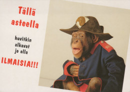 MONKEY Animals Vintage Postcard CPSM #PAN977.A - Monkeys