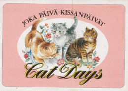 CHAT CHAT Animaux Vintage Carte Postale CPSM Unposted #PAM434.A - Katzen