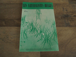 LES NATURALISTES BELGES N° 5 Année 1974 Régionalisme La Végétation Des Murs Plantes Botanique Flore - Belgique