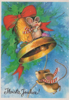 MOUSE Animals Vintage Postcard CPSM #PBR244.A - Other & Unclassified