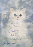 GATTO KITTY Animale Vintage Cartolina CPSM #PBQ910.A - Katzen