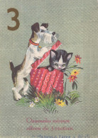 CHIEN Animaux Vintage Carte Postale CPSM #PBQ616.A - Dogs