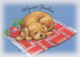 CANE Animale Vintage Cartolina CPSM #PBQ635.A - Dogs