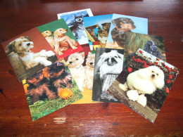 76367-       10 CARDS - HONDEN / DOG DOGS / HUNDE / CHIENS / PERROS - Dogs