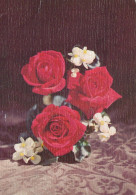 FIORI Vintage Cartolina CPSM #PBZ071.A - Blumen