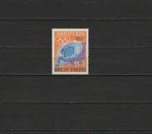 Albania 1964 Olympic Games Tokyo Stamp With Overprint "Rimini 25-VI-64" MNH - Verano 1964: Tokio