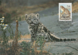 LEOPARDO Animales Vintage Tarjeta Postal CPSM #PBS081.A - Other & Unclassified