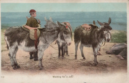 ASINO Animale Vintage CPA Cartolina #PAA202.A - Donkeys