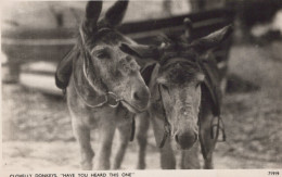 DONKEY Animals Vintage Antique Old CPA Postcard #PAA036.A - Donkeys