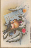 BIRD Vintage Postcard CPSMPF #PKG974.A - Birds