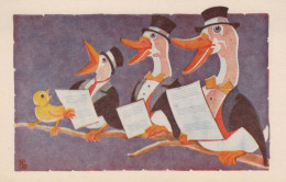 UCCELLO Animale Vintage Cartolina CPA #PKE803.A - Birds