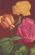 FIORI Vintage Cartolina CPA #PKE638.A - Flowers