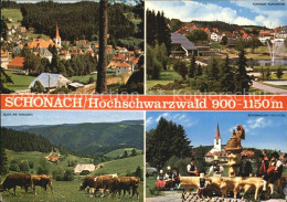 72505337 Schonach Schwarzwald Gesamtansicht Kuhweide Kurhaus Und Kurgarten Trach - Other & Unclassified
