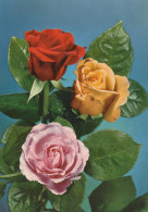 FLOWERS Vintage Postcard CPSM #PAS004.GB - Flores