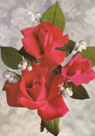 FLOWERS Vintage Postcard CPSM #PAR943.GB - Flores