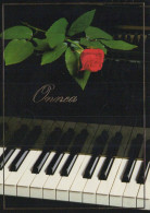 FLOWERS Vintage Postcard CPSM #PAS244.GB - Flowers