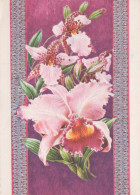 FLOWERS Vintage Postcard CPSM #PAR162.GB - Flores