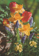 FLOWERS Vintage Postcard CPSM #PAR101.GB - Flores