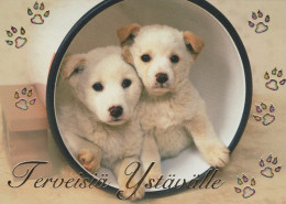 DOG Animals Vintage Postcard CPSM #PAN651.GB - Dogs