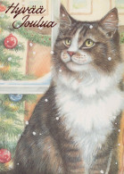 CAT KITTY Animals Vintage Postcard CPSM #PAM457.GB - Katten