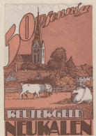 50 PFENNIG 1922 Stadt NEUKALEN Mecklenburg-Schwerin UNC DEUTSCHLAND #PI510 - [11] Lokale Uitgaven
