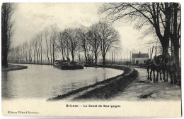 BRIENON - Le Canal De Bourgogne - Chemin De Halage - PENICHE - Brienon Sur Armancon