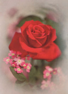 FIORI Vintage Cartolina CPSM #PAS308.IT - Flowers