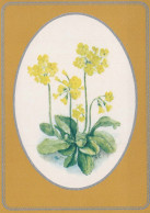 FIORI Vintage Cartolina CPSM #PAR467.IT - Flowers
