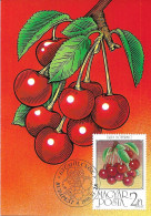 HUNGARY 1986 Fruits Maximum Cards Complet Set  MNH - Tarjetas – Máximo