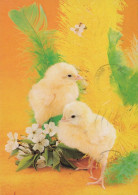 EASTER CHICKEN EGG Vintage Postcard CPSM #PBP200.GB - Pâques