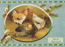 EASTER CHICKEN Vintage Postcard CPSM #PBO887.GB - Easter