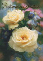FLOWERS Vintage Ansichtskarte Postkarte CPSM #PAS187.DE - Fleurs