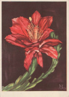 FLOWERS Vintage Ansichtskarte Postkarte CPSM #PAR165.DE - Blumen