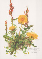 FLOWERS Vintage Ansichtskarte Postkarte CPSM #PAR346.DE - Blumen