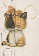 KATZE MIEZEKATZE Tier Vintage Ansichtskarte Postkarte CPSM #PAM146.DE - Katten
