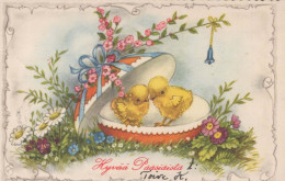 PASQUA POLLO UOVO Vintage Cartolina CPA #PKE401.IT - Easter
