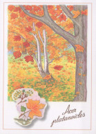 FIORI Vintage Cartolina CPSM #PBZ115.IT - Flowers