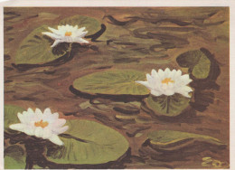 FIORI Vintage Cartolina CPSM #PBZ175.IT - Flores