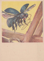 INSETTO Animale Vintage Cartolina CPSM #PBS503.IT - Insectes
