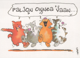 GATTO KITTY Animale Vintage Cartolina CPSM #PBQ933.IT - Katten