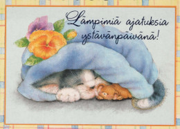 GATTO KITTY Animale Vintage Cartolina CPSM #PBQ996.IT - Katten