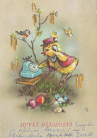 PASQUA POLLO Vintage Cartolina CPSM #PBO953.IT - Easter
