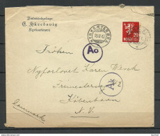 NORWAY Norwegen 1943 Censored Cover To Denmark - Lettres & Documents