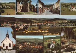 72504651 Hammelbach Kirche Ruine Panoramen Hammelbach - Autres & Non Classés