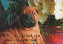 PERRO Animales Vintage Tarjeta Postal CPSM #PAN518.ES - Dogs